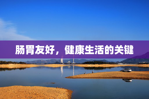 肠胃友好，健康生活的关键