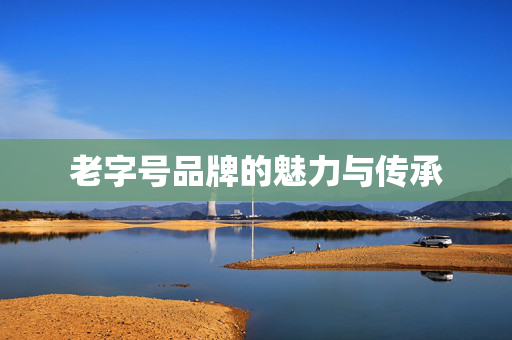 老字号品牌的魅力与传承