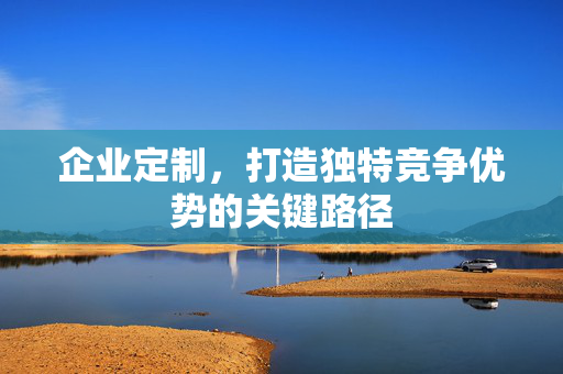 企业定制，打造独特竞争优势的关键路径