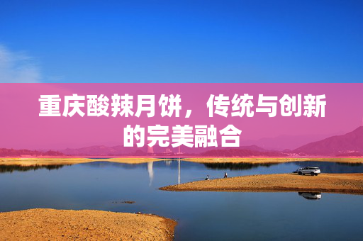 重庆酸辣月饼，传统与创新的完美融合